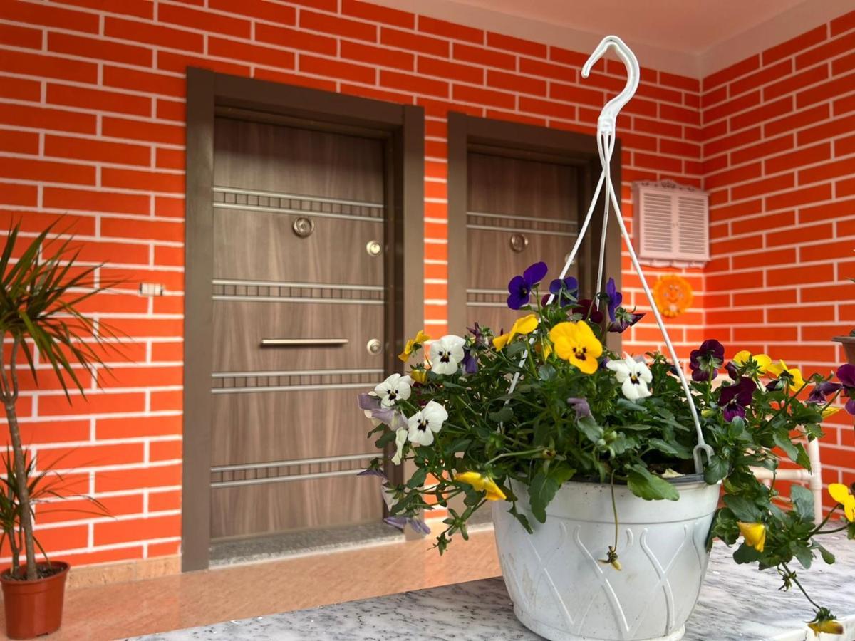 טיראנה Chestnut Yard Villa מראה חיצוני תמונה